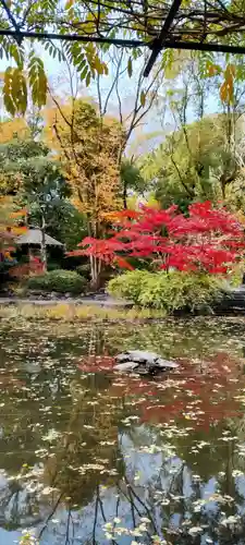 熱田神宮(愛知県)