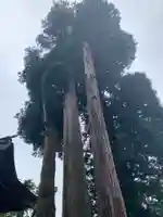 小国両神社の自然