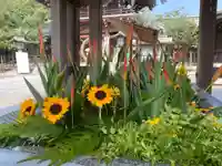 宮地嶽神社の手水舎