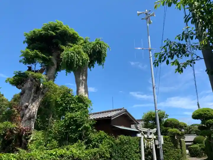 大杉神社のその他建物