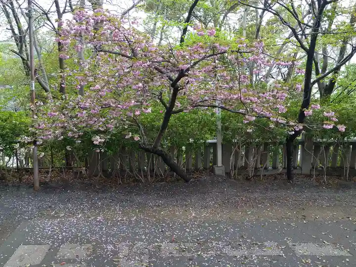 阿智神社の自然