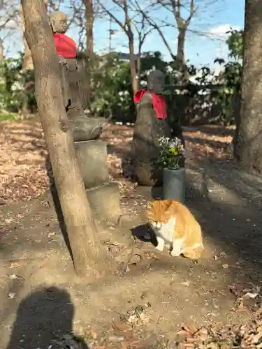 淨眞寺の{uncategorized: "未分類", other: "その他", undefined: "問題あり", building: "その他建物", grave: "お墓", sacred_gate: "鳥居", guardian: "狛犬", statue: "像", buddha: "仏像", history: "歴史", nature: "自然", garden: "庭園", animal: "動物", pagoda: "塔", temizu: "手水舎", mountain_gate: "山門・神門", sanctuary: "本殿・本堂", subordinate: "末社・摂社", art: "芸術", scenery: "景色", jizo: "地蔵", ema: "絵馬", goshuin: "御朱印", omikuji: "おみくじ", items: "授与品その他", amulet: "お守り", goshuincho: "御朱印帳", eats: "食事", festival: "お祭り", votive_dance: "神楽", shichigosan: "七五三参", wedding: "結婚式", experience: "体験その他", initially: "初詣", around: "周辺", anti_infection: "感染症対策"}