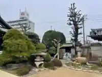 観音寺の{uncategorized: "未分類", other: "その他", undefined: "問題あり", building: "その他建物", grave: "お墓", sacred_gate: "鳥居", guardian: "狛犬", statue: "像", buddha: "仏像", history: "歴史", nature: "自然", garden: "庭園", animal: "動物", pagoda: "塔", temizu: "手水舎", mountain_gate: "山門・神門", sanctuary: "本殿・本堂", subordinate: "末社・摂社", art: "芸術", scenery: "景色", jizo: "地蔵", ema: "絵馬", goshuin: "御朱印", omikuji: "おみくじ", items: "授与品その他", amulet: "お守り", goshuincho: "御朱印帳", eats: "食事", festival: "お祭り", votive_dance: "神楽", shichigosan: "七五三参", wedding: "結婚式", experience: "体験その他", initially: "初詣", around: "周辺", anti_infection: "感染症対策"}