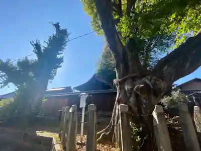 宇賀神社(京都府)