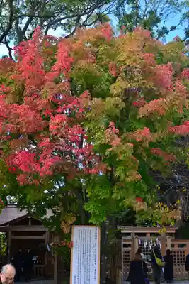 伊勢山皇大神宮(神奈川県)
