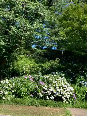 天台宗　長窪山　正覚寺(神奈川県)