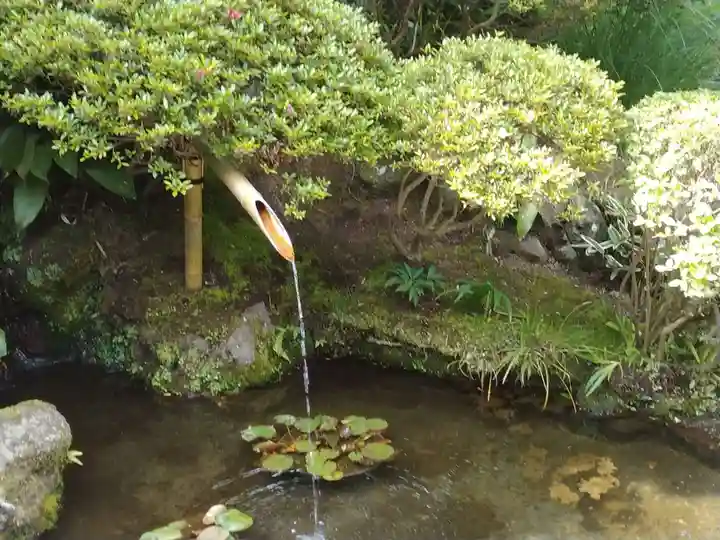 報国寺(神奈川県)
