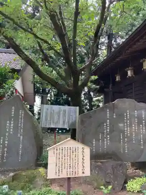大宝八幡宮(茨城県)