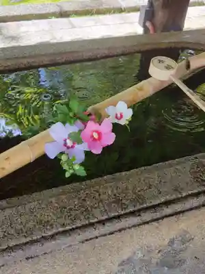 真正極楽寺(真如堂)の手水舎