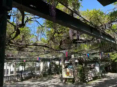 國領神社(東京都)