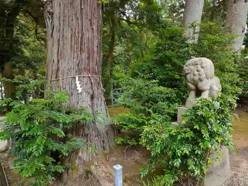 気多神社の自然