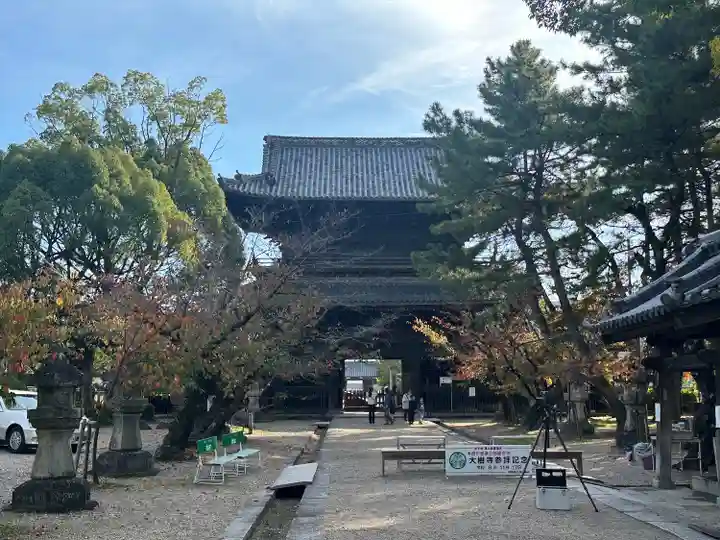 大樹寺(松安院大樹寺)(愛知県)