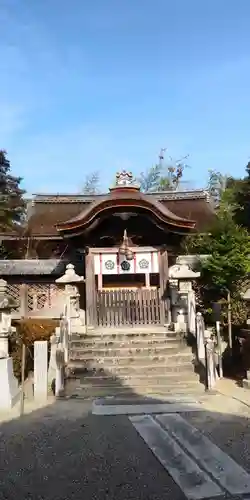 老杉神社の本殿・本堂