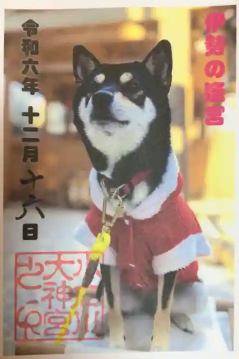 【閉業】小石川大神宮の御朱印