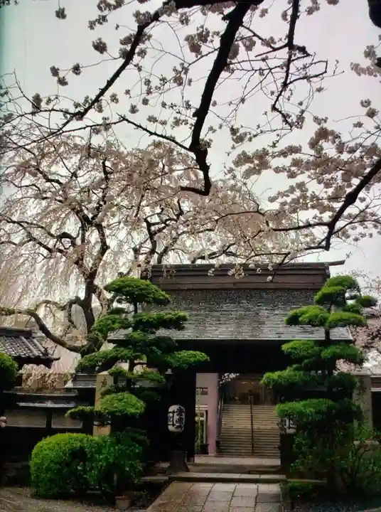 常圓寺(東京都)