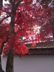 野宮神社(京都府)