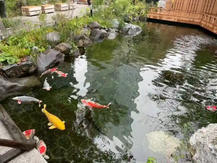 愛宕神社の{uncategorized: "未分類", other: "その他", undefined: "問題あり", building: "その他建物", grave: "お墓", sacred_gate: "鳥居", guardian: "狛犬", statue: "像", buddha: "仏像", history: "歴史", nature: "自然", garden: "庭園", animal: "動物", pagoda: "塔", temizu: "手水舎", mountain_gate: "山門・神門", sanctuary: "本殿・本堂", subordinate: "末社・摂社", art: "芸術", scenery: "景色", jizo: "地蔵", ema: "絵馬", goshuin: "御朱印", omikuji: "おみくじ", items: "授与品その他", amulet: "お守り", goshuincho: "御朱印帳", eats: "食事", festival: "お祭り", votive_dance: "神楽", shichigosan: "七五三参", wedding: "結婚式", experience: "体験その他", initially: "初詣", around: "周辺", anti_infection: "感染症対策"}