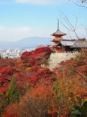 清水寺(京都府)