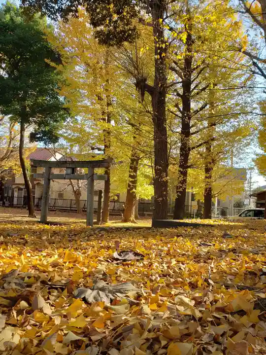 愛宕神社の自然