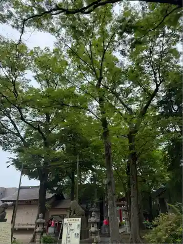 丸子山王日枝神社(神奈川県)