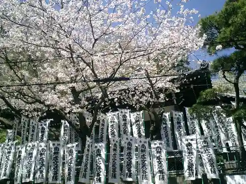 星井寺（ 明鏡山円満院星井寺虚空蔵堂 ）の景色