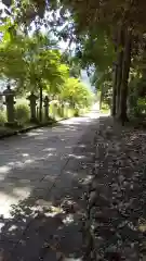 須賀神社の建物その他