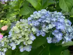 白山神社の自然