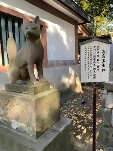 北澤八幡神社の狛犬