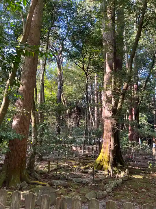 椿大神社の周辺