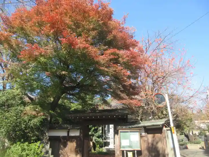 蓮光院(東京都)