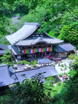 岡寺(龍蓋寺)(奈良県)