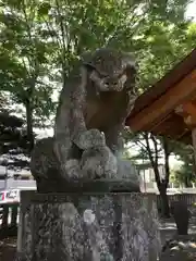 多賀神社の狛犬