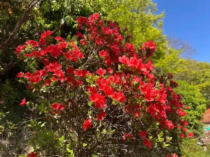 木舟山 順教寺(広島県)