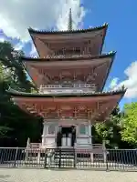 真禅院の{uncategorized: "未分類", other: "その他", undefined: "問題あり", building: "その他建物", grave: "お墓", sacred_gate: "鳥居", guardian: "狛犬", statue: "像", buddha: "仏像", history: "歴史", nature: "自然", garden: "庭園", animal: "動物", pagoda: "塔", temizu: "手水舎", mountain_gate: "山門・神門", sanctuary: "本殿・本堂", subordinate: "末社・摂社", art: "芸術", scenery: "景色", jizo: "地蔵", ema: "絵馬", goshuin: "御朱印", omikuji: "おみくじ", items: "授与品その他", amulet: "お守り", goshuincho: "御朱印帳", eats: "食事", festival: "お祭り", votive_dance: "神楽", shichigosan: "七五三参", wedding: "結婚式", experience: "体験その他", initially: "初詣", around: "周辺", anti_infection: "感染症対策"}