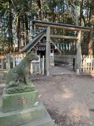 宝登山神社奥宮の狛犬