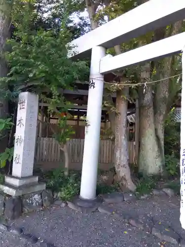 世木神社(三重県)