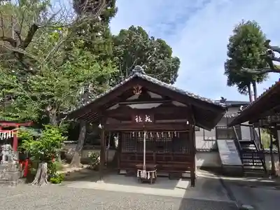 櫻井神社(大阪府)
