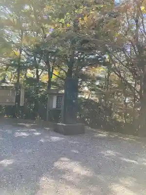 玉置神社(奈良県)