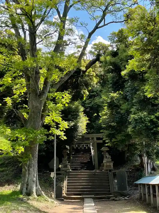 上下諏訪神社の鳥居