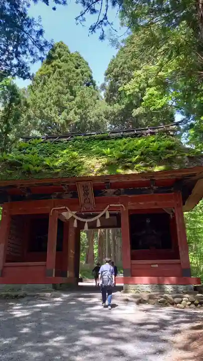 戸隠神社奥社(長野県)