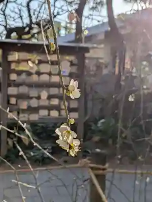 鳩森八幡神社(東京都)