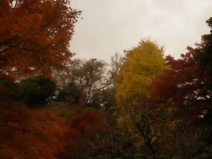長壽寺(長寿寺)(神奈川県)