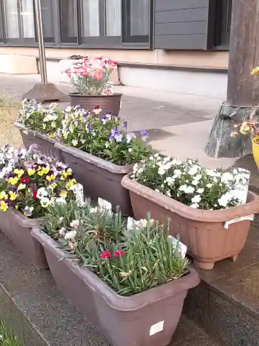 伏木香取神社の自然