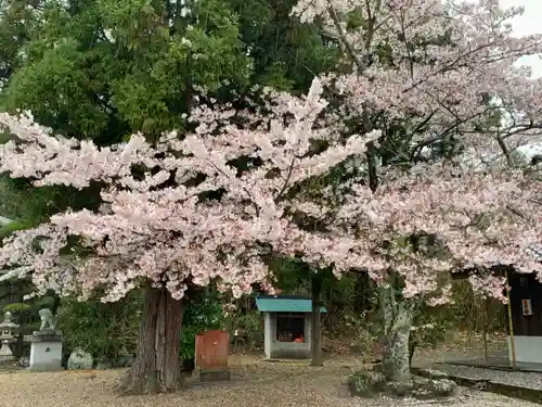 市原豊歳神社の自然