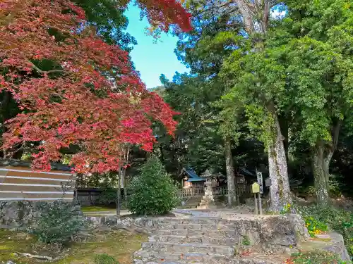 出雲大社北島国造館 出雲教の庭園