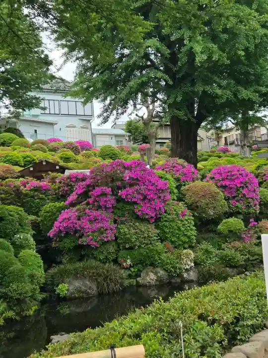 根津神社の{uncategorized: "未分類", other: "その他", undefined: "問題あり", building: "その他建物", grave: "お墓", sacred_gate: "鳥居", guardian: "狛犬", statue: "像", buddha: "仏像", history: "歴史", nature: "自然", garden: "庭園", animal: "動物", pagoda: "塔", temizu: "手水舎", mountain_gate: "山門・神門", sanctuary: "本殿・本堂", subordinate: "末社・摂社", art: "芸術", scenery: "景色", jizo: "地蔵", ema: "絵馬", goshuin: "御朱印", omikuji: "おみくじ", items: "授与品その他", amulet: "お守り", goshuincho: "御朱印帳", eats: "食事", festival: "お祭り", votive_dance: "神楽", shichigosan: "七五三参", wedding: "結婚式", experience: "体験その他", initially: "初詣", around: "周辺", anti_infection: "感染症対策"}