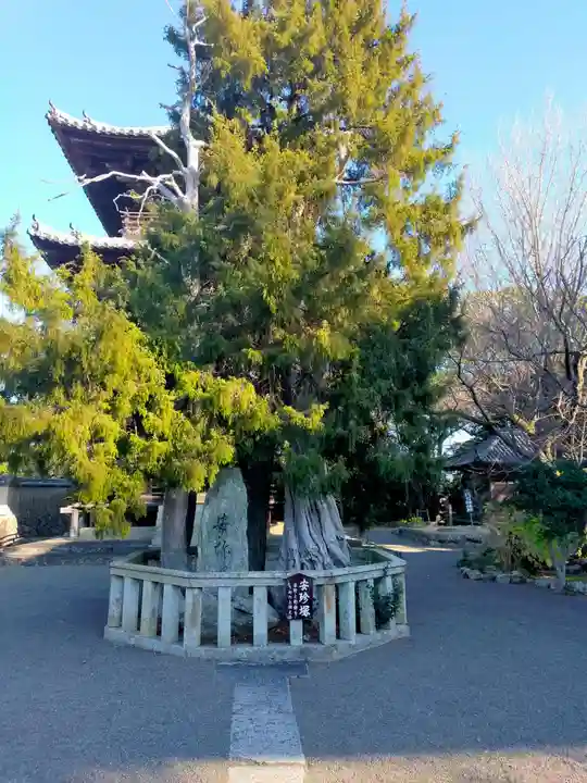 道成寺のその他建物