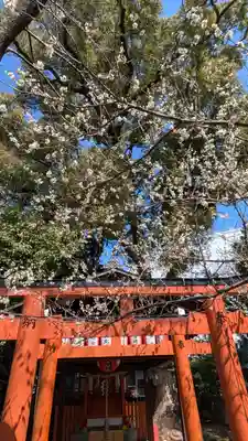 平野神社(京都府)