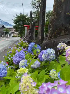 北東本宮小室浅間神社(山梨県)