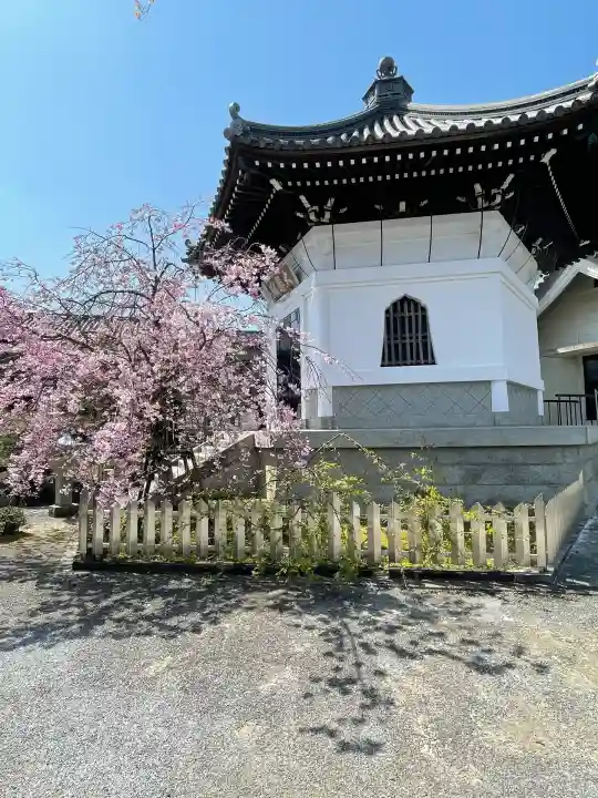 井戸寺(徳島県)